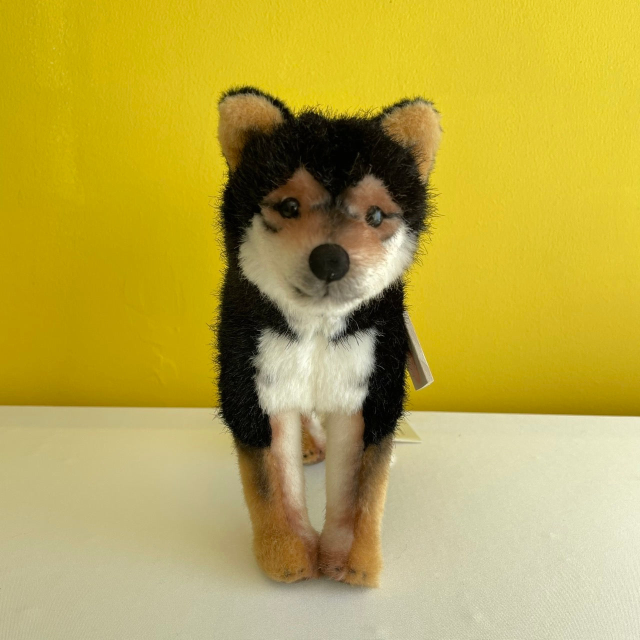 柴犬 黒 ケーセン社(ドイツ)