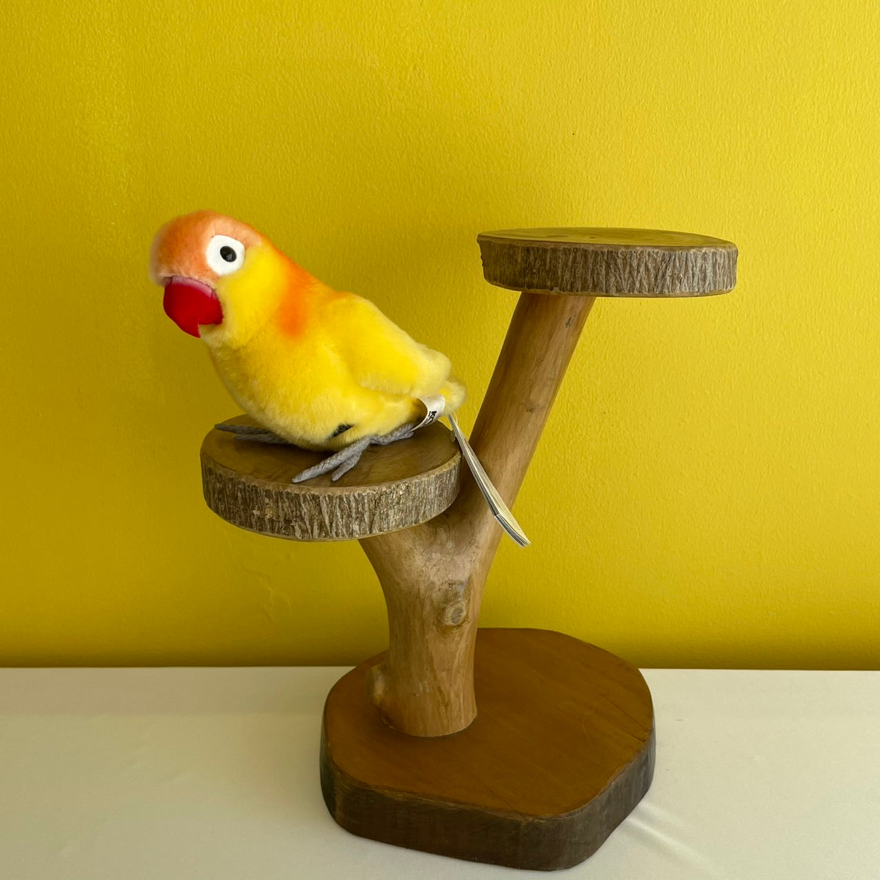 ボタンインコ黄 ケーセン社(ドイツ)