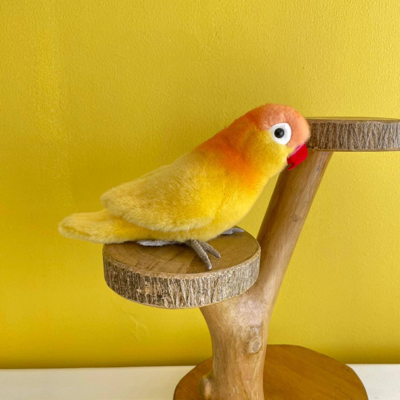 ボタンインコ黄 ケーセン社(ドイツ)