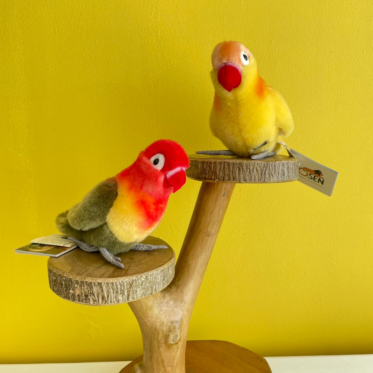 ボタンインコ黄 ケーセン社(ドイツ)