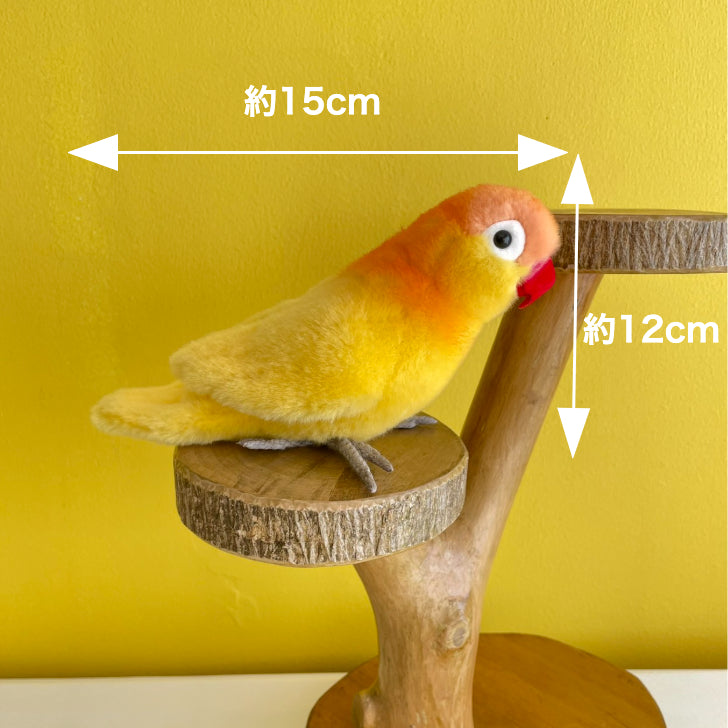 ボタンインコ黄 ケーセン社(ドイツ)