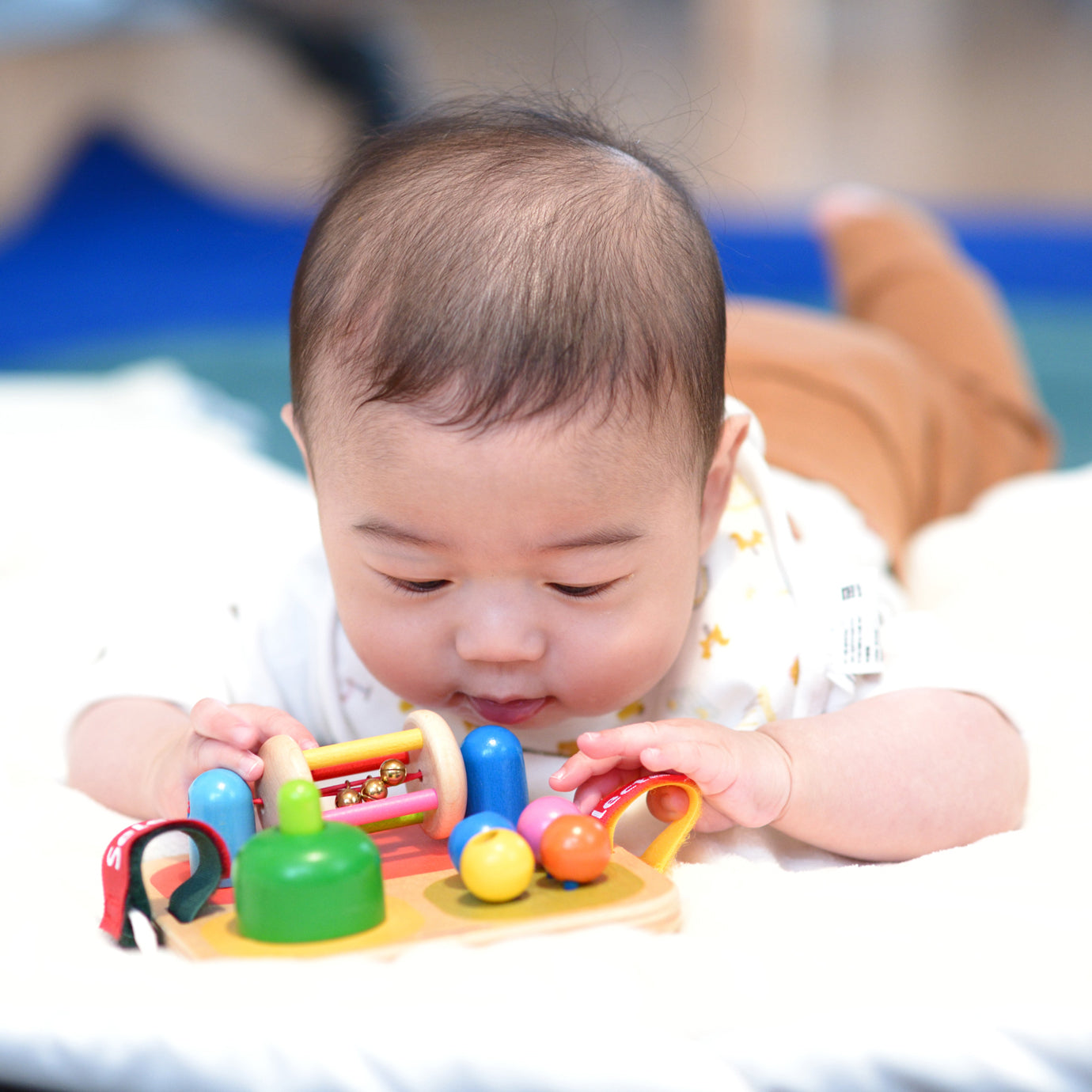 タボリニ セレクタ ドイツ