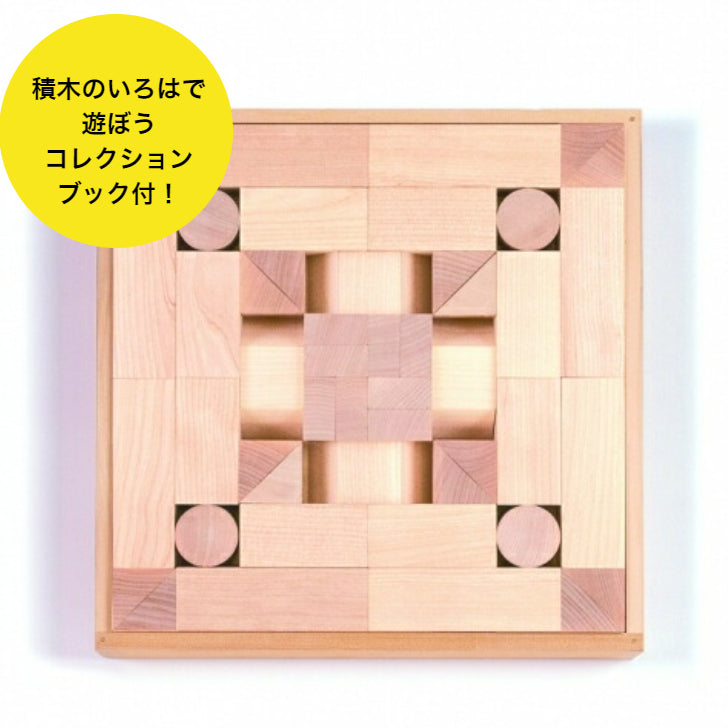 【予約・ご注文から2~6カ月予定】WAKU-BLOCK45 H6 (童具館)
