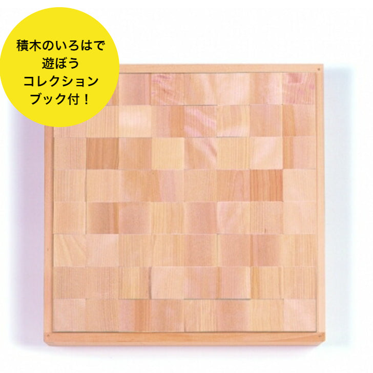 【在庫あり】WAKU-BLOCK45 HG1 (童具館)
