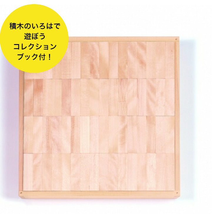 【在庫あり】WAKU-BLOCK45 HG2 (童具館)