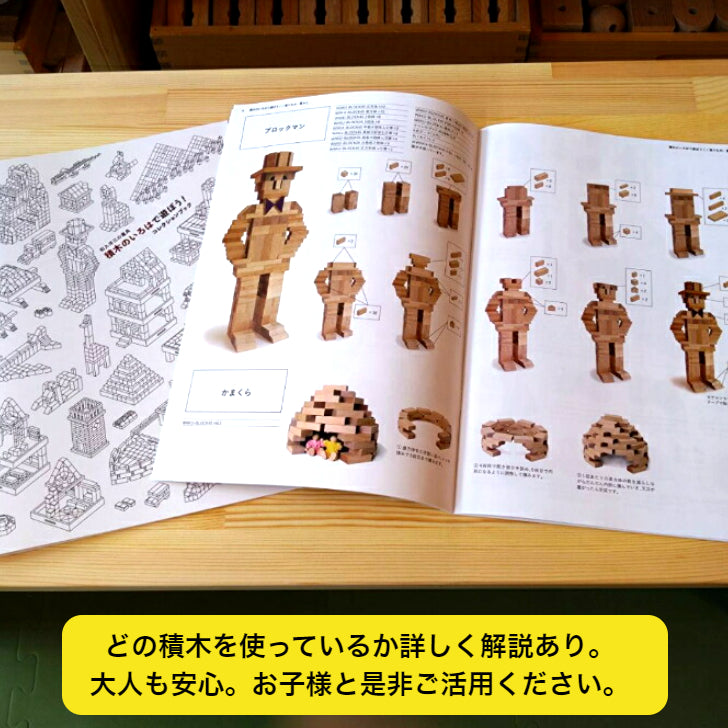 【在庫あり】WAKU-BLOCK45 HG1 (童具館)