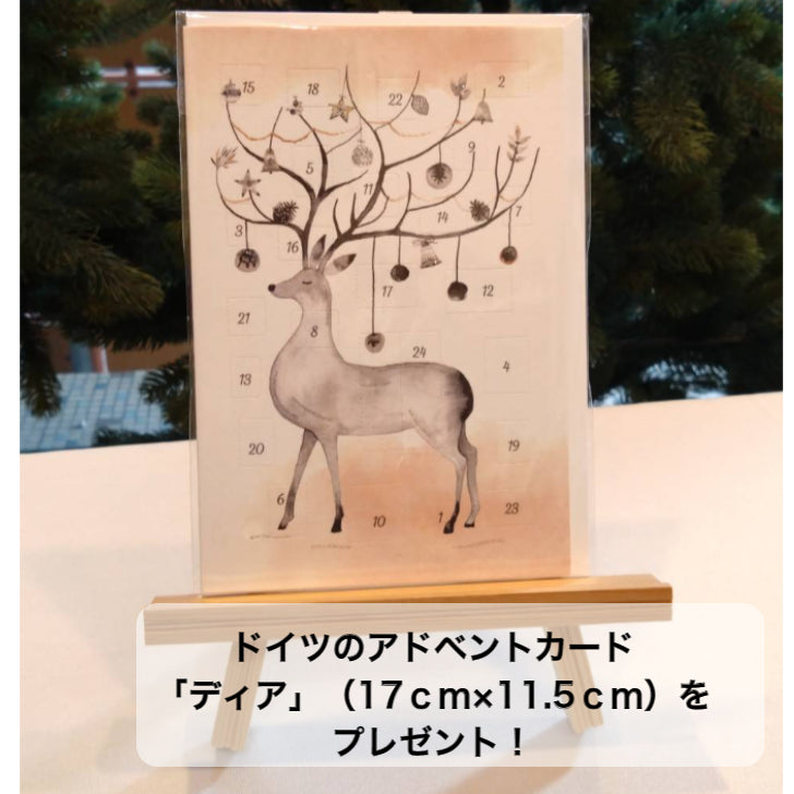 シュヴァルツヴァルトツリー120cm クリスマスツリー 120cm RSグローバルトレード社 RS GLOBAL TRADE 120 ドイツ SCHWARZWALD TREE Tanne Schwarzwald