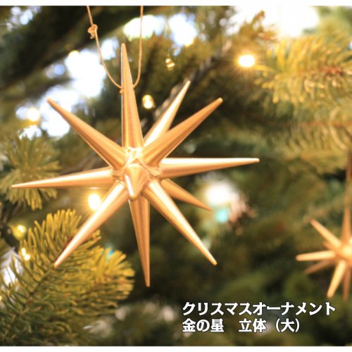 金の星 立体(大)単品
