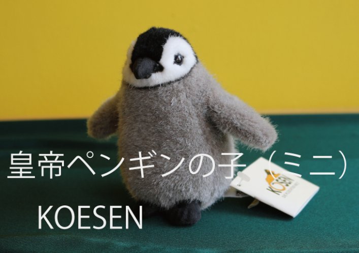 皇帝ペンギンの子(ミニ) ケーセン社(ドイツ)