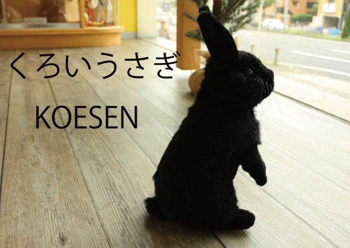 くろいうさぎ ケーセン社(ドイツ)