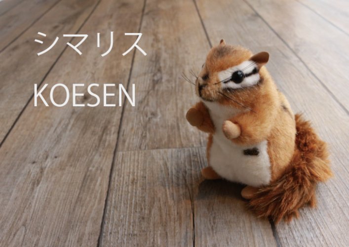 シマリス ケーセン社(ドイツ)