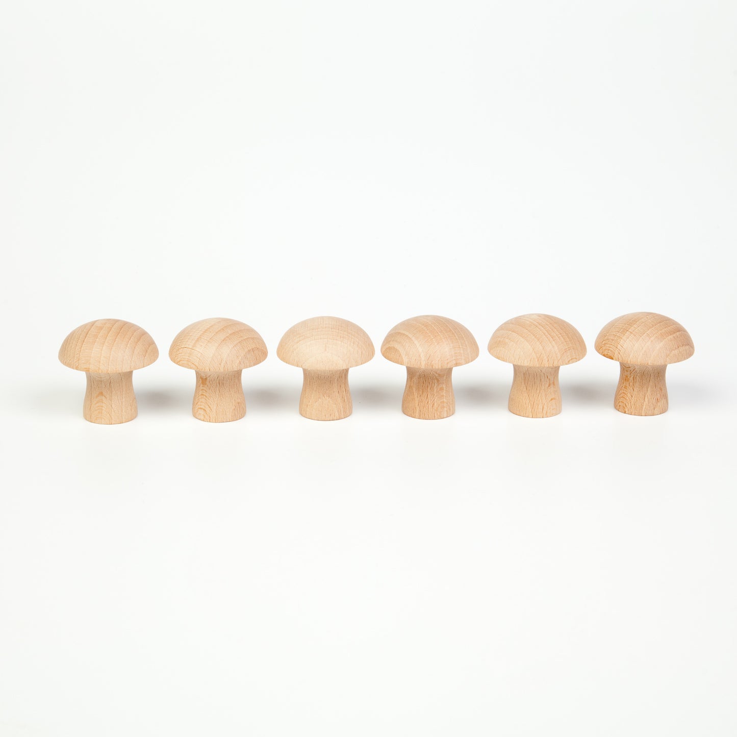 6マッシュルーム 白木 6 Mushrooms グラパット GRAPAT