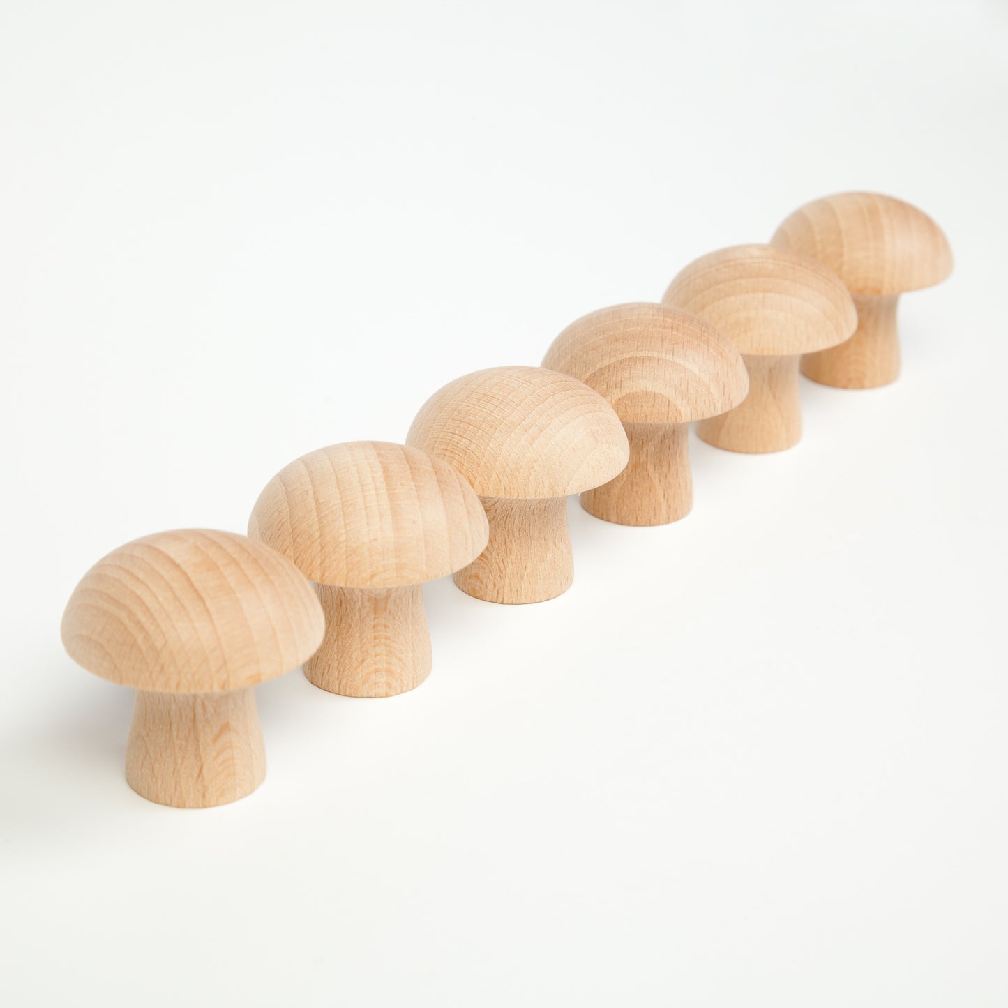 6マッシュルーム 白木 6 Mushrooms グラパット GRAPAT