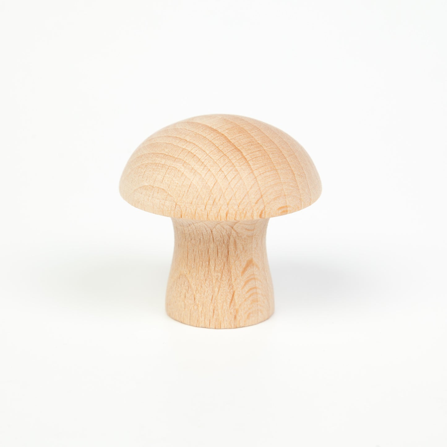 6マッシュルーム 白木 6 Mushrooms グラパット GRAPAT