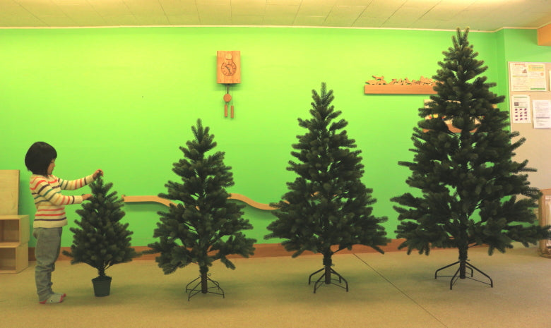 シュヴァルツヴァルトツリー195cm クリスマスツリー 195cm RSグローバルトレード社 RS GLOBAL TRADE 195 ドイツ SCHWARZWALD TREE Tanne Schwarzwald