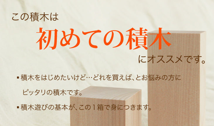 【在庫あり】WAKU-BLOCK45 HG2 (童具館)