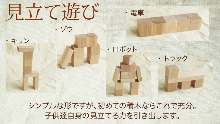 【在庫あり】WAKU-BLOCK45 HG1 (童具館)