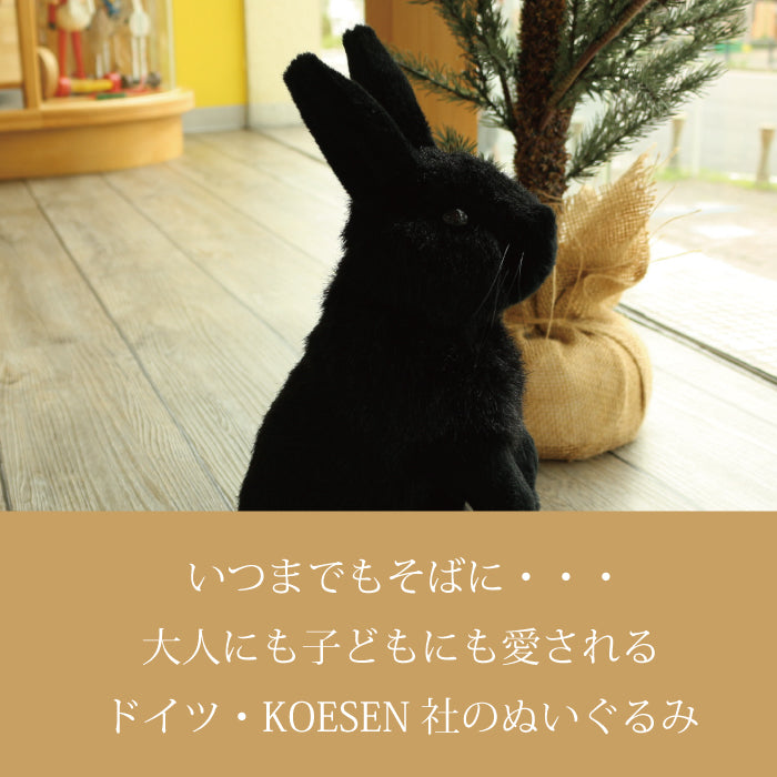 くろいうさぎ ケーセン社(ドイツ)