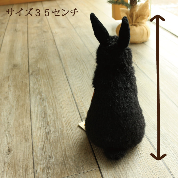 くろいうさぎ ケーセン社(ドイツ)