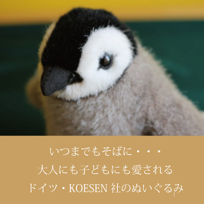 皇帝ペンギンの子(ミニ) ケーセン社(ドイツ)