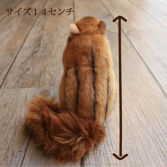 シマリス ケーセン社(ドイツ)