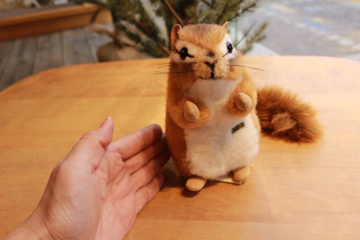 シマリス ケーセン社(ドイツ)
