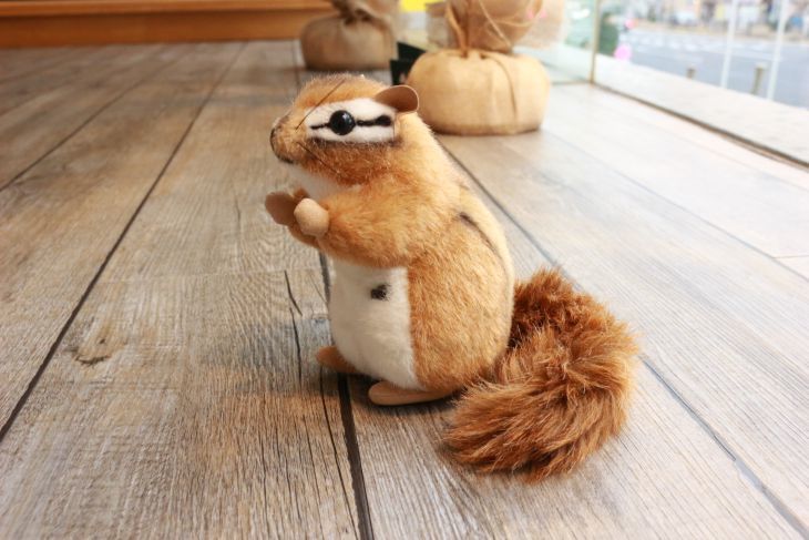 シマリス ケーセン社(ドイツ)
