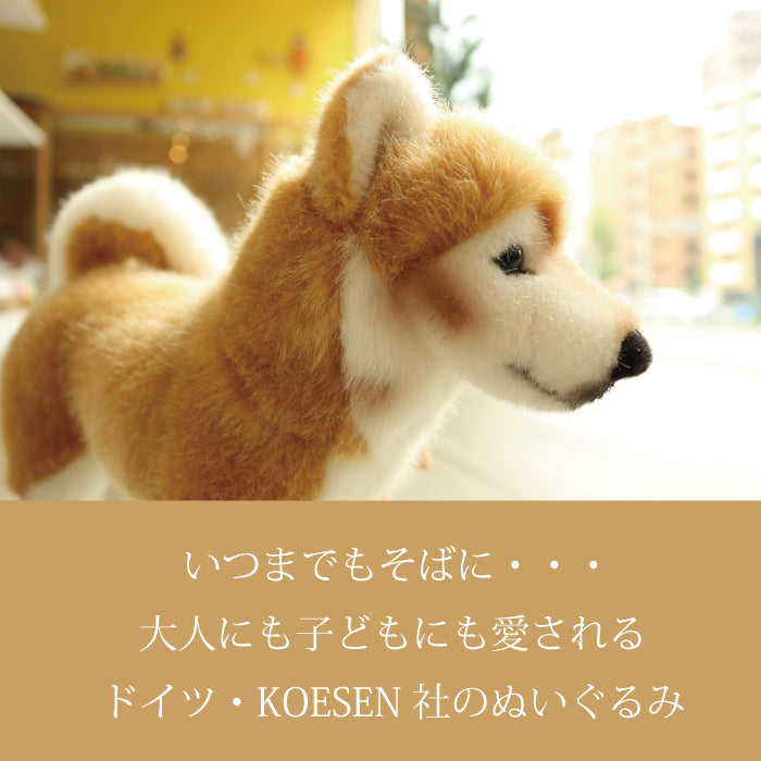 柴犬 ケーセン社(ドイツ)