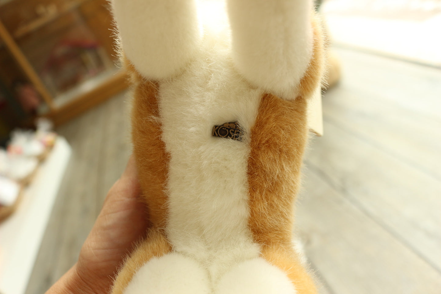 柴犬 ケーセン社(ドイツ)