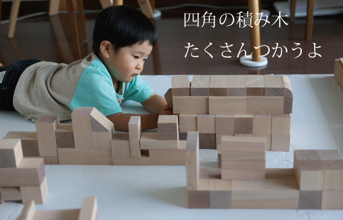 【予約・ご注文から2~6カ月予定】WAKU-BLOCK45 H6 (童具館)