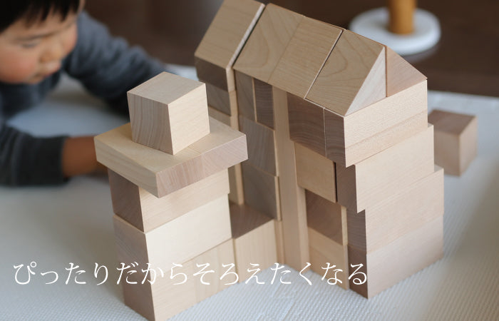 【予約・ご注文から2~6カ月予定】WAKU-BLOCK45 H6 (童具館)