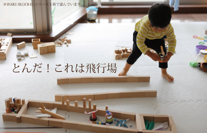 【予約・ご注文から2~6カ月予定】WAKU-BLOCK45 H6 (童具館)