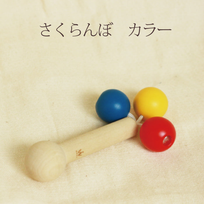 さくらんぼ カラー (童具館)
