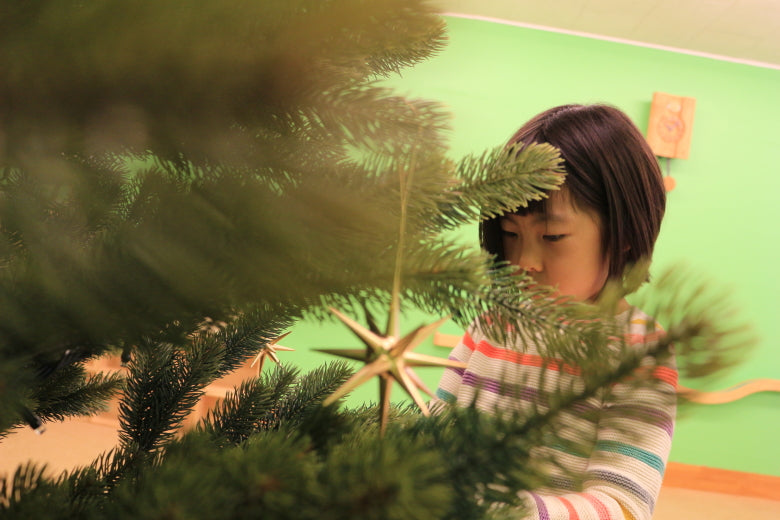 シュヴァルツヴァルトツリー195cm クリスマスツリー 195cm RSグローバルトレード社 RS GLOBAL TRADE 195 ドイツ SCHWARZWALD TREE Tanne Schwarzwald