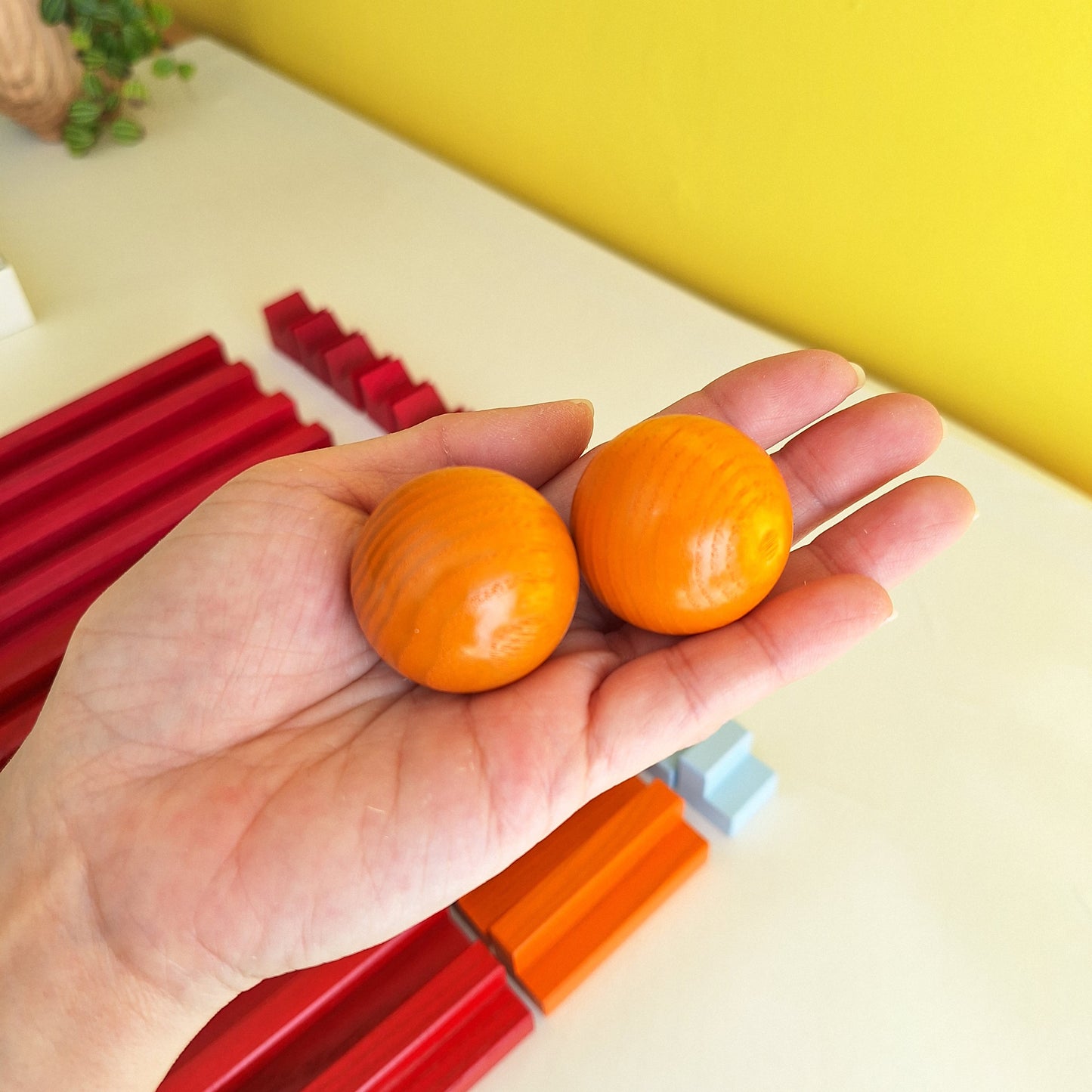 Tigno（ティグノ）　カラー　ネフ　NAEF075（naef社・スイス）