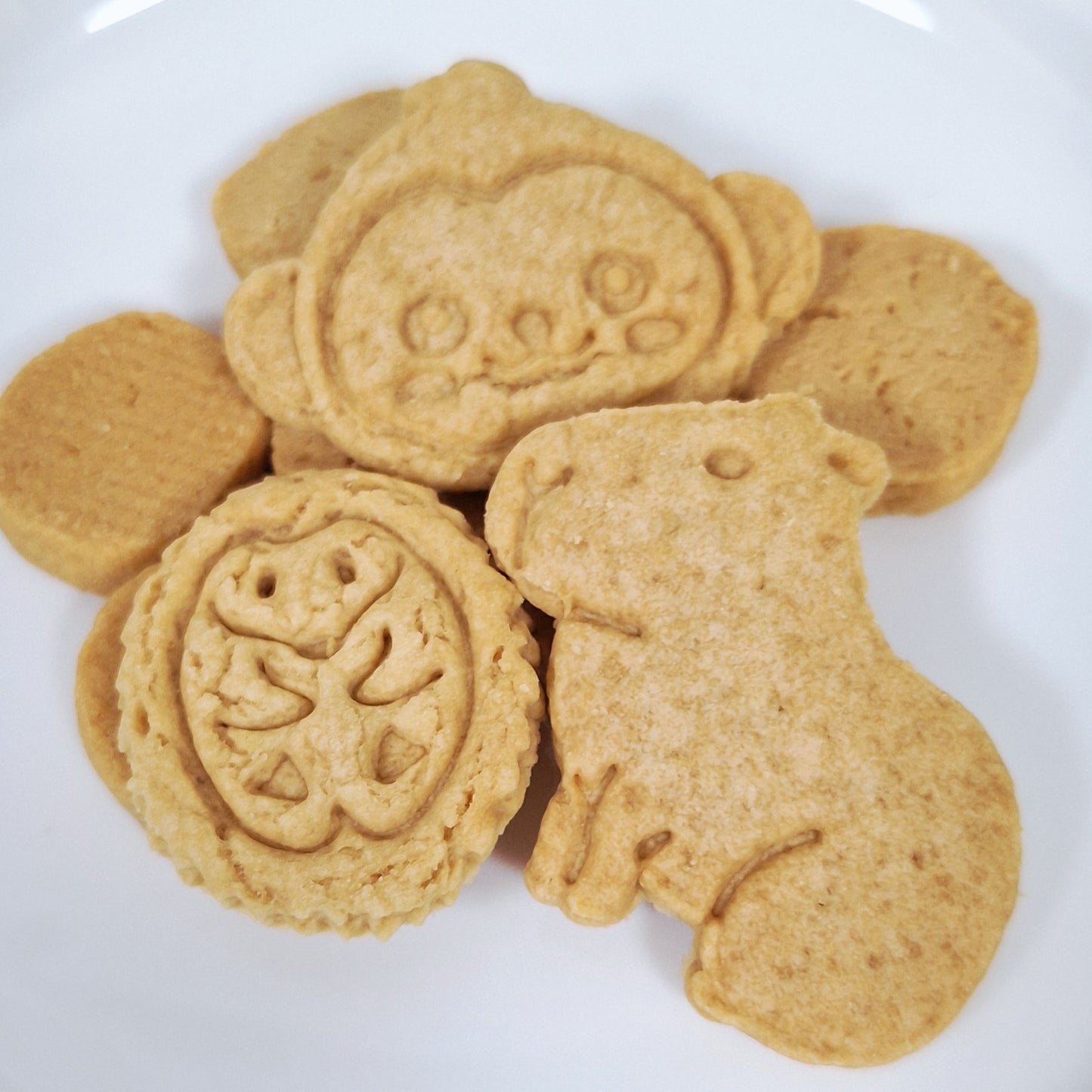 森のなかよしクッキー（国産はちみつのプレーンクッキー）　　Locco Locoおやつ工房