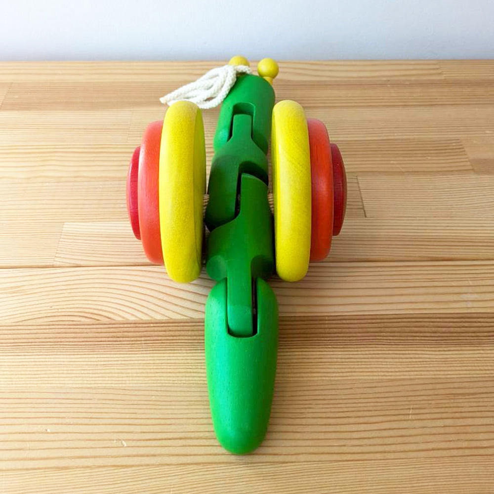 スネイル　かたつむり  プルトイ  プルトーイ 　プラントイ（タイ）
