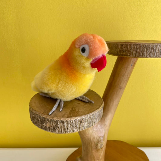 ボタンインコ黄　ケーセン社（ドイツ）