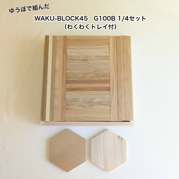 【ゆうぼで組んだ】 WAKU-BLOCK45 G100 B 1/4セット（わくわくトレイ付き） 童具館 積み木 長板 2倍 4倍 数量限定　202293-1/4t