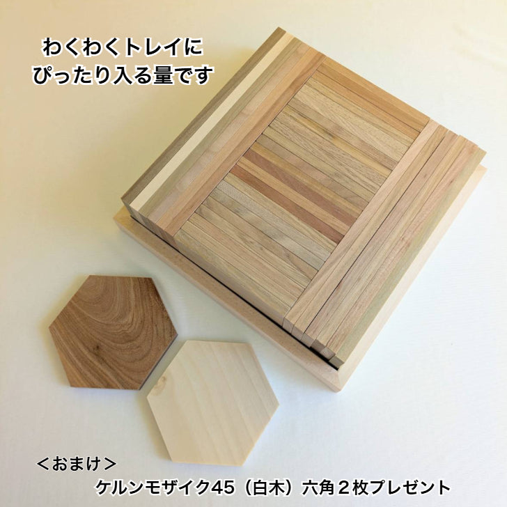 【ゆうぼで組んだ】 WAKU-BLOCK45 G100 B 1/4セット（わくわくトレイ付き） 童具館 積み木 長板 2倍 4倍 数量限定　202293-1/4t